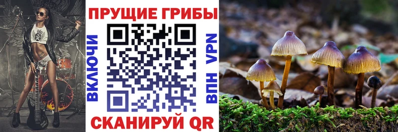 Галлюциногенные грибы GOLDEN TEACHER  Нальчик 